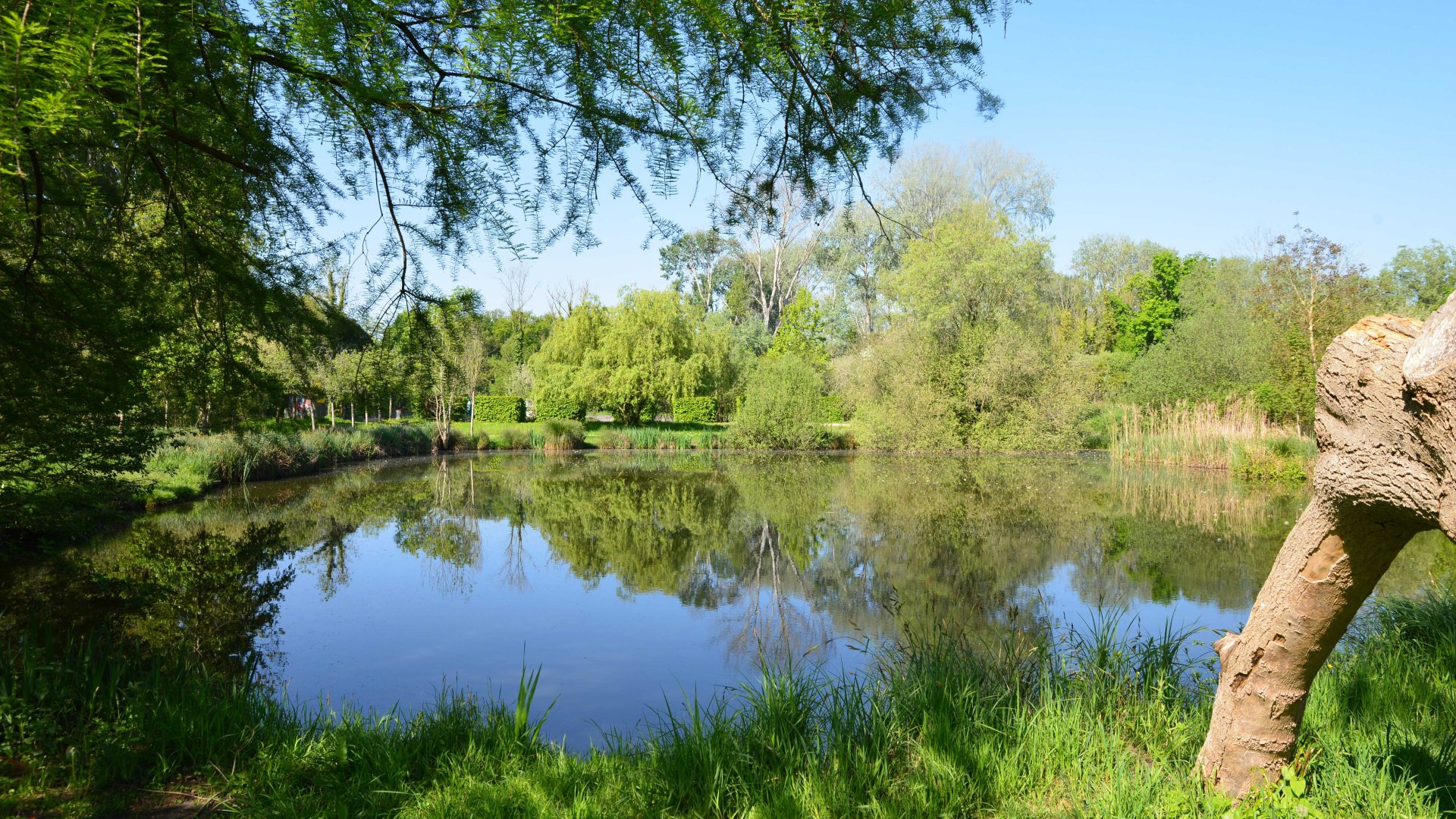 Parc de la Tourbière Entre Juine et Renarde Bouray sur Juine