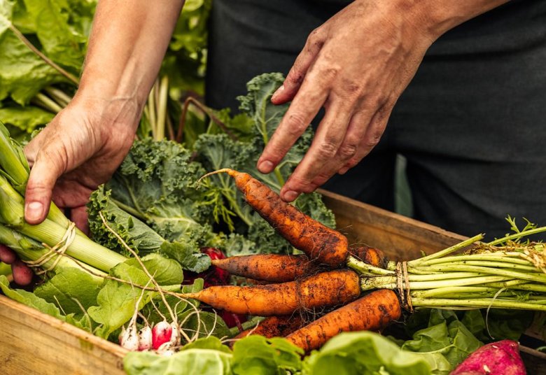 PLAN ALIMENTAIRE TERRITORIAL