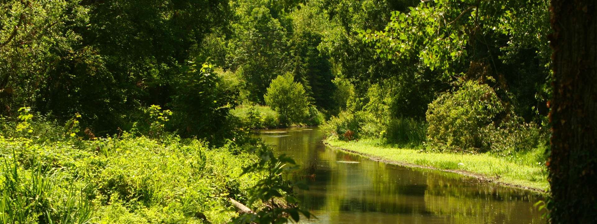 Juine et Renarde, rivières de l'Essonne