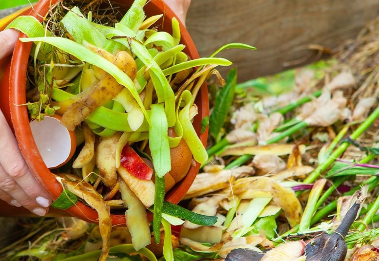 le compostage un engagement citoyen 