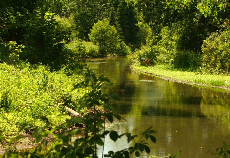 cours d'eau renarde