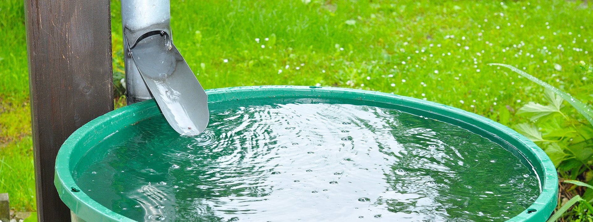 récupérateur eau de pluie