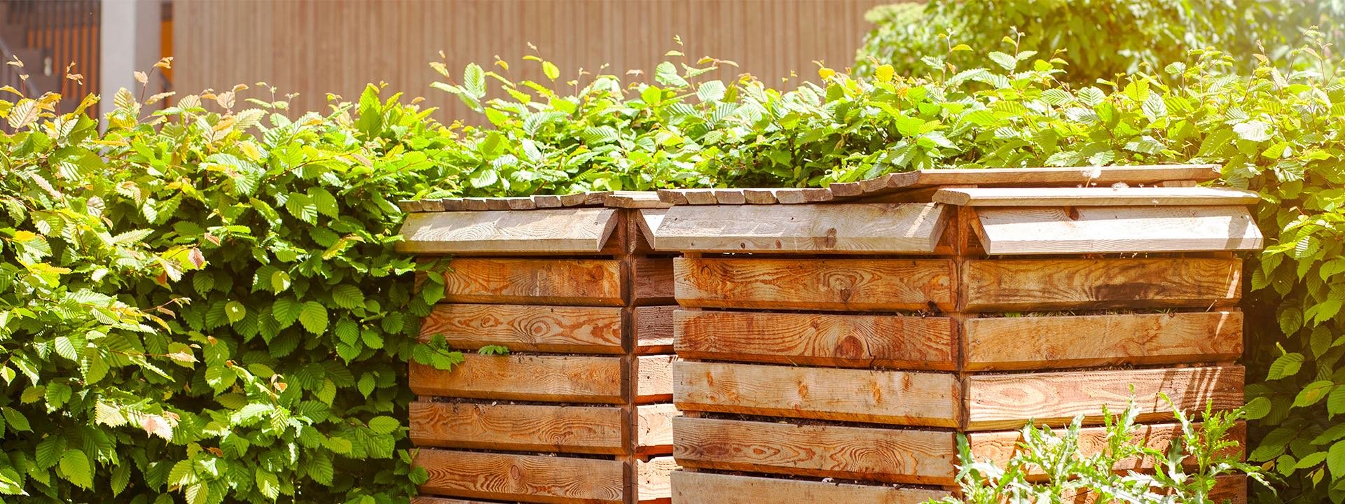 Entre Juine et Renarde vous invite à une sensibilisation au compostage le 26 juin 2024 !