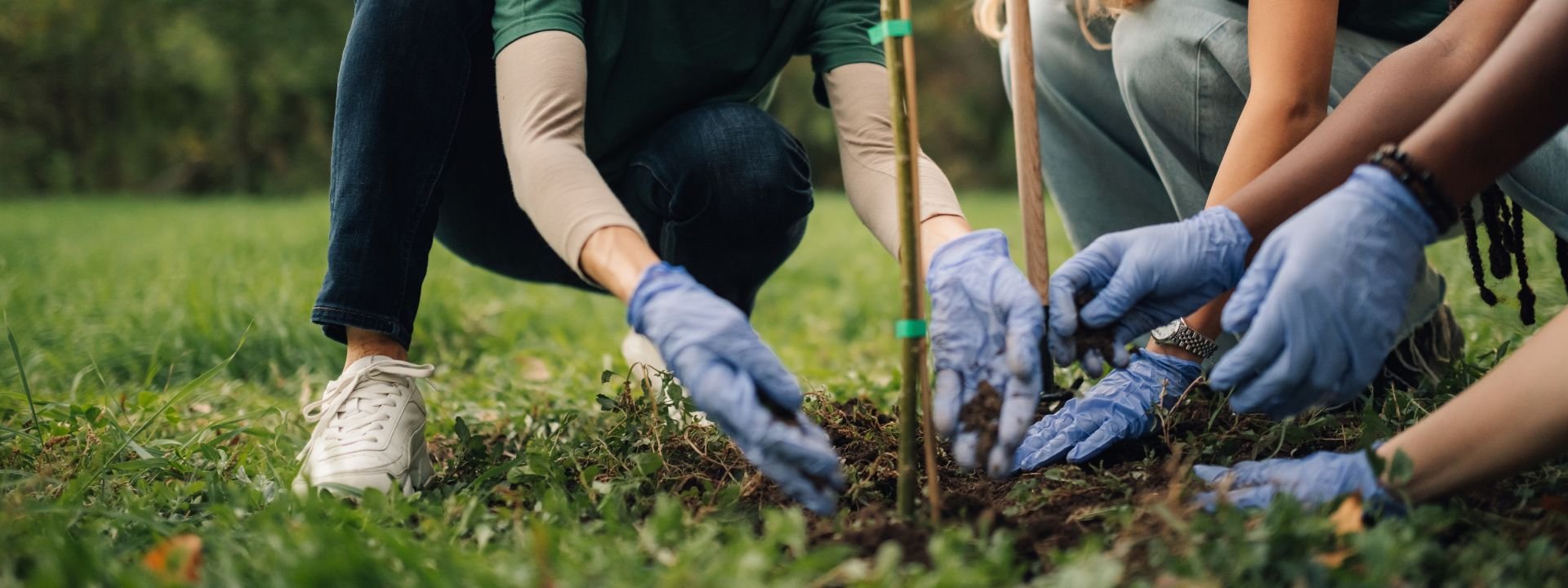Agir pour la compensation carbone avec Tree Nation