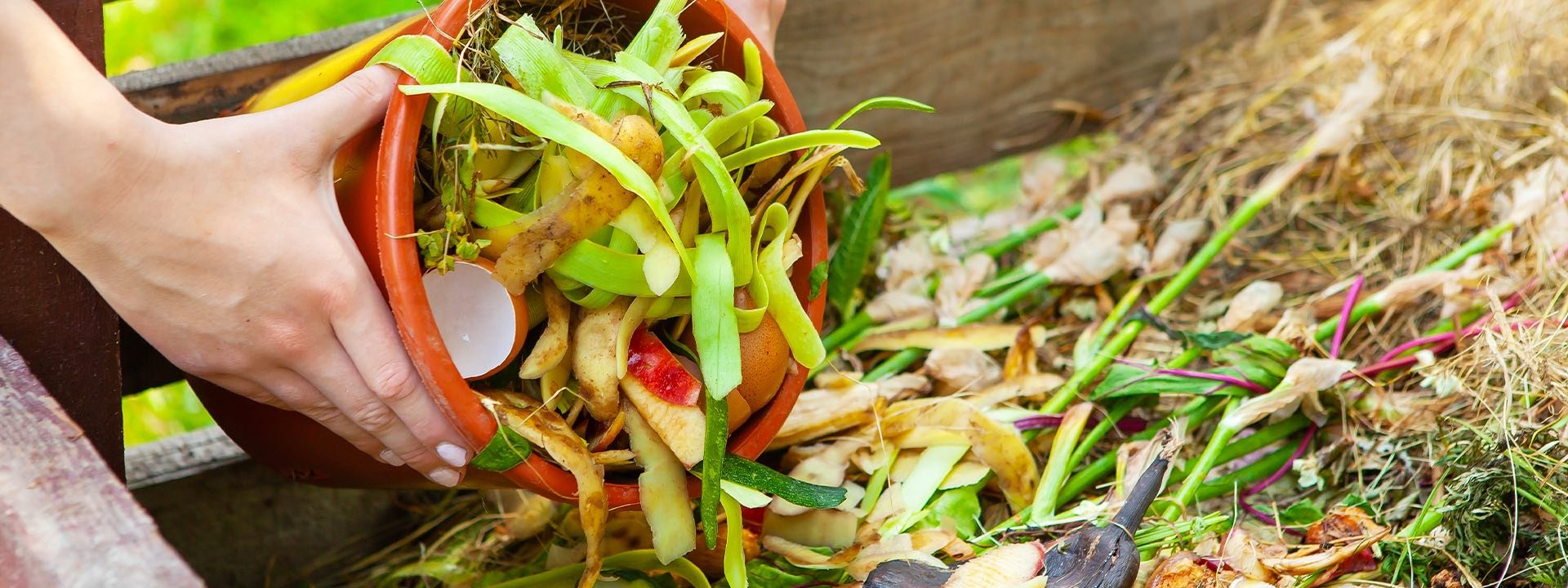 le compostage un engagement citoyen 