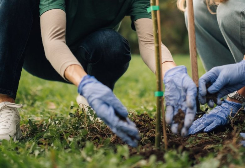 Agir pour la compensation carbone avec Tree Nation